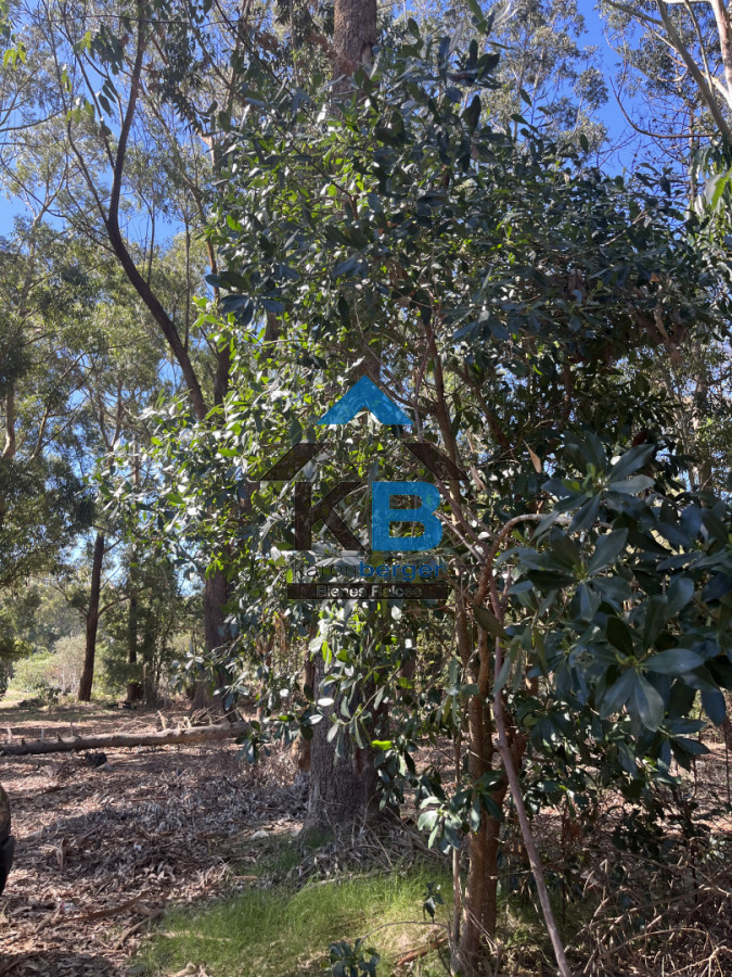 Terreno ID.642 - Terreno en La Juanita