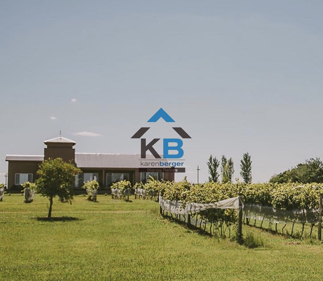 Terreno ID.29 - Venta de Terreno Con Viñedos Propios Consulte 