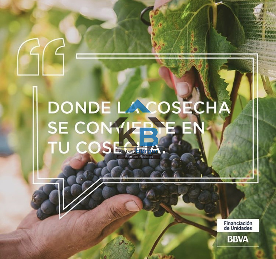 Terreno ID.29 - Venta de Terreno Con Viñedos Propios Consulte 