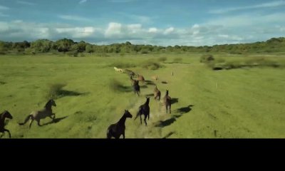 Venta de Chacras Terrenos Situado En Carmelo