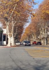 Terreno O Depósito Para Construcción Edificio Colonia