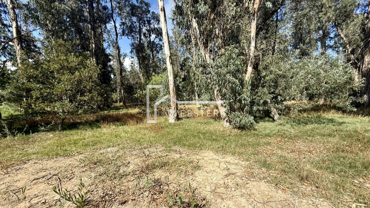 Terreno ID.2590 - VENTA TERRENO MANGRULLOS EL CHORRO LA BARRA PUNTA DEL ESTE