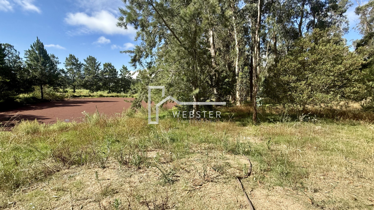 Terreno ID.2590 - VENTA TERRENO MANGRULLOS EL CHORRO LA BARRA PUNTA DEL ESTE