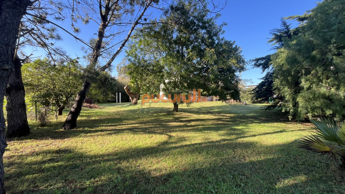 Casa ID.1755 - Casa Venta Las Grutas Punta Ballena