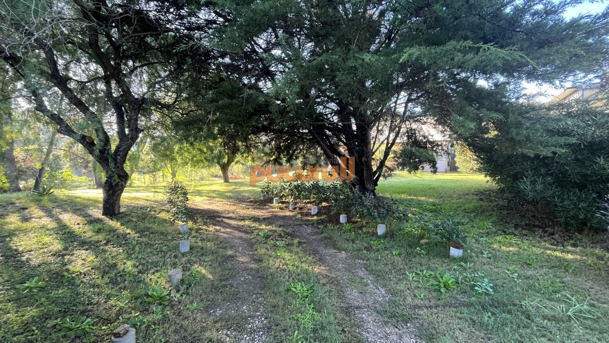 Casa ID.1755 - Casa Venta Las Grutas Punta Ballena