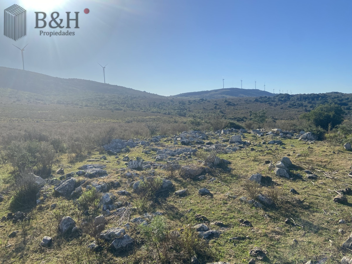 Chacra ID.3300 - Chacra en  - San Carlos