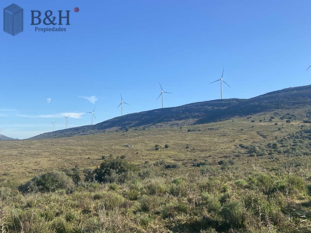 Chacra en    San Carlos - GoPunta - Portal Inmobiliario de Punta del Este - Maldonado