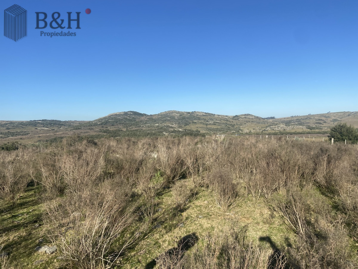 Chacra ID.3300 - Chacra en  - San Carlos