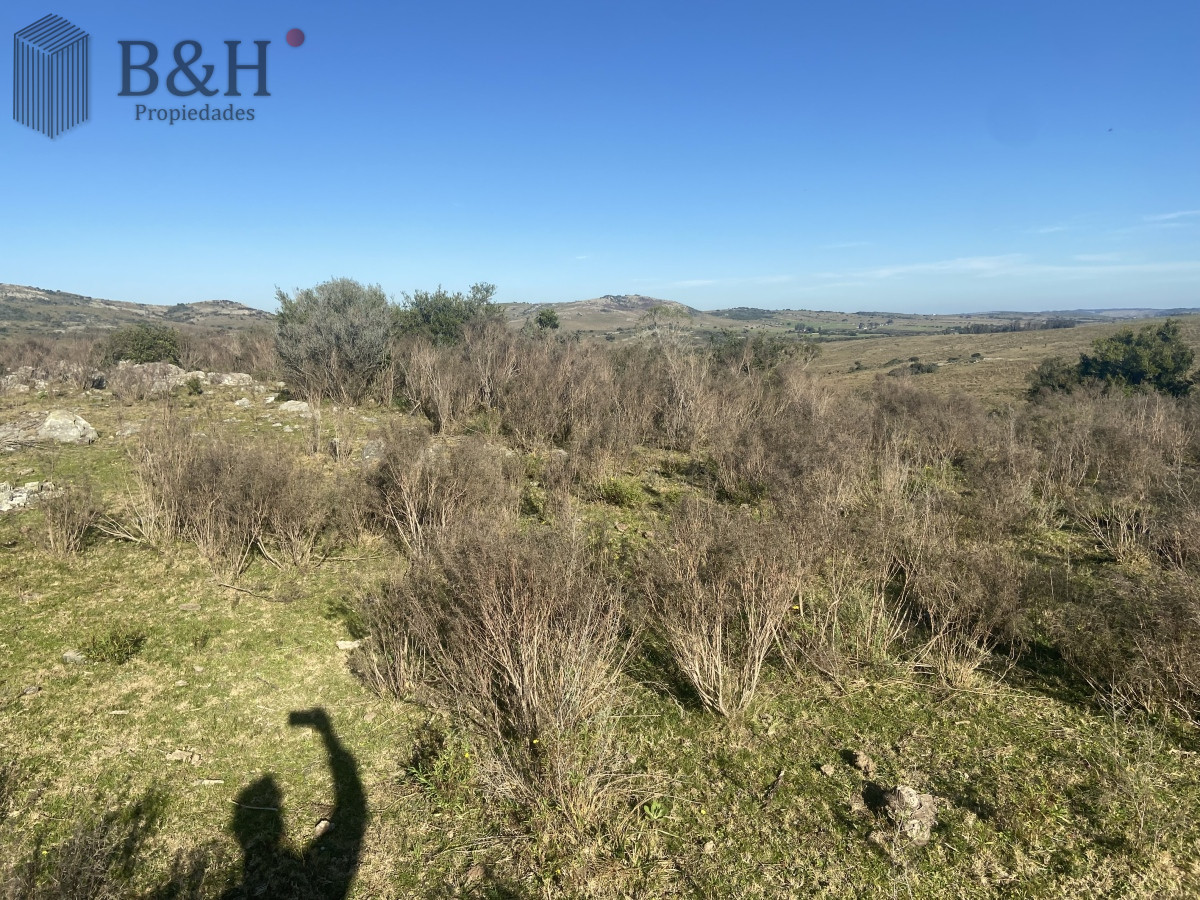Chacra en    Maldonado - GoPunta - Portal Inmobiliario de Punta del Este - Maldonado