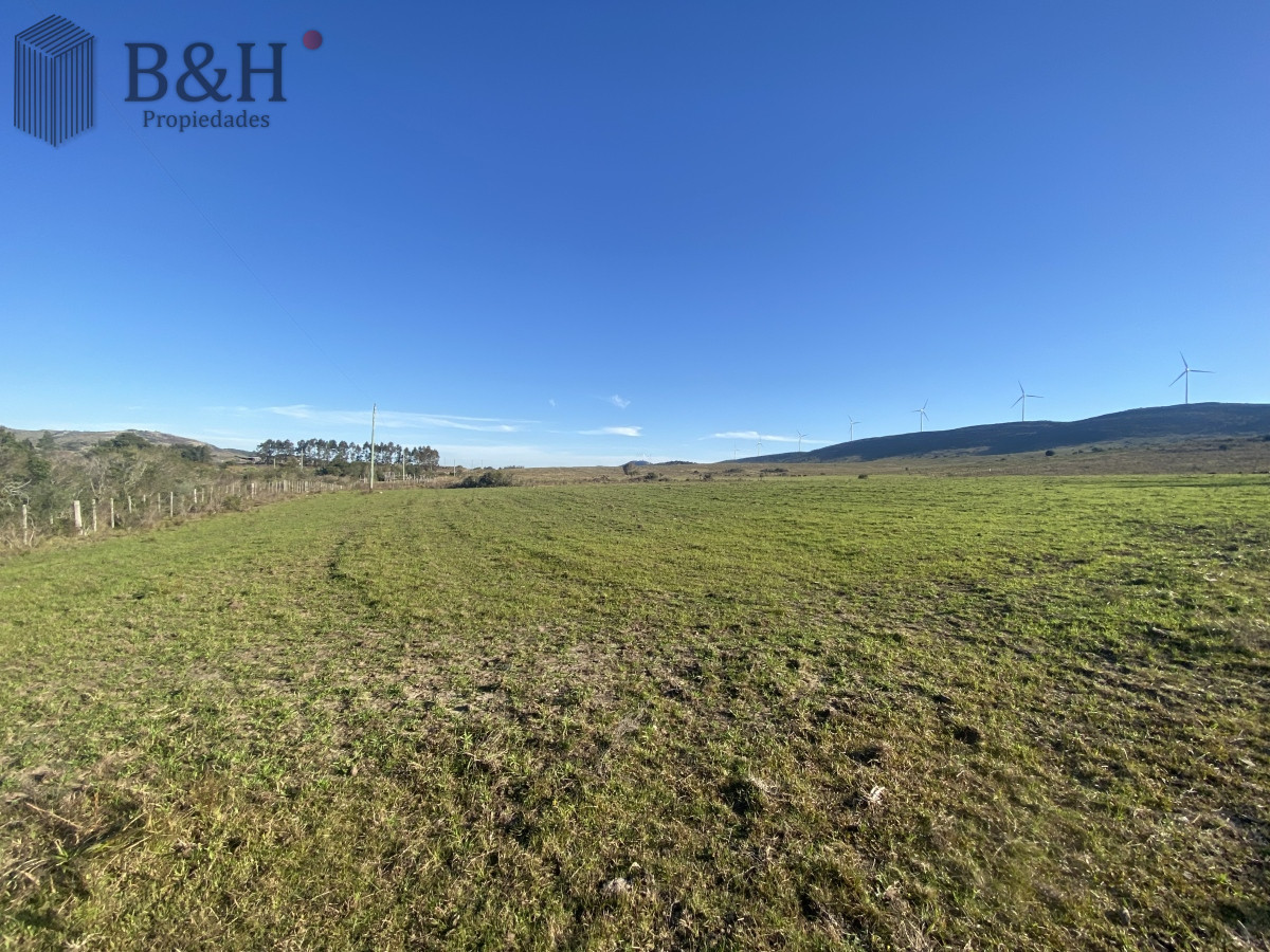 Chacra en    San Carlos - GoPunta - Portal Inmobiliario de Punta del Este - Maldonado