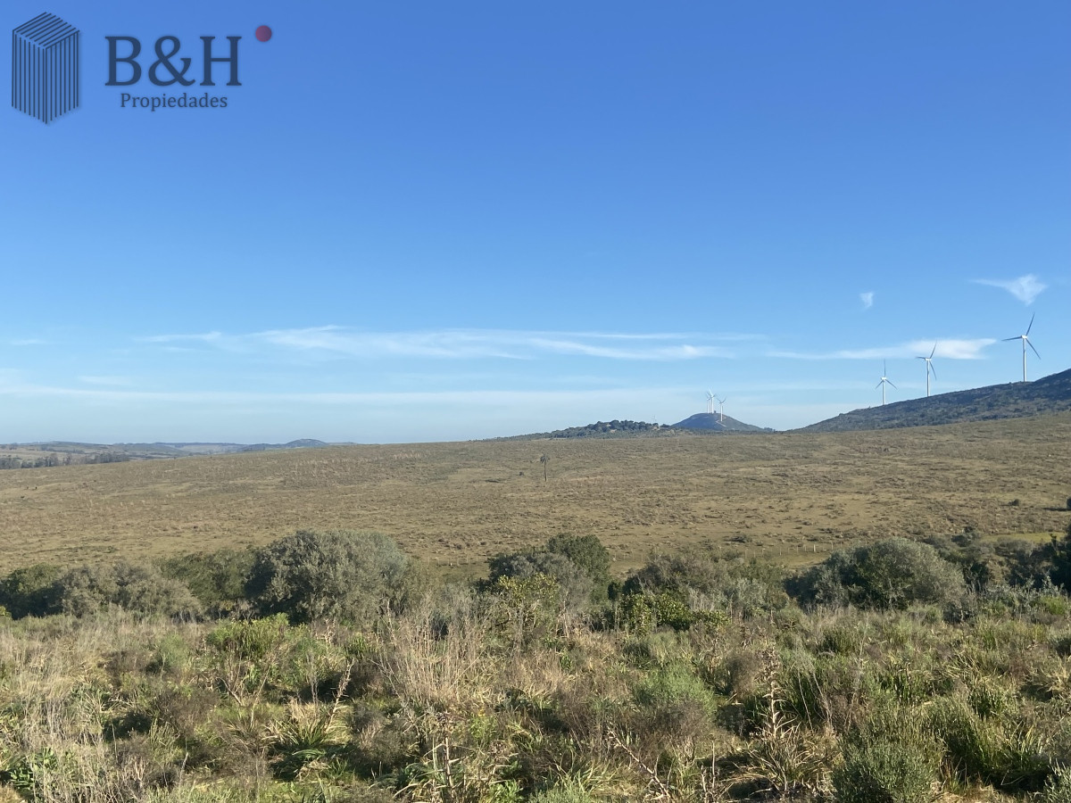 Chacra en    San Carlos - GoPunta - Portal Inmobiliario de Punta del Este - Maldonado