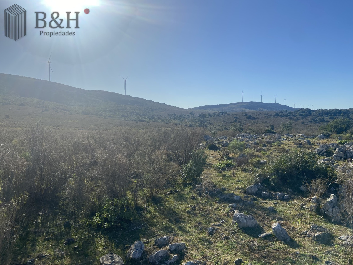 Chacra ID.3300 - Chacra en  - San Carlos