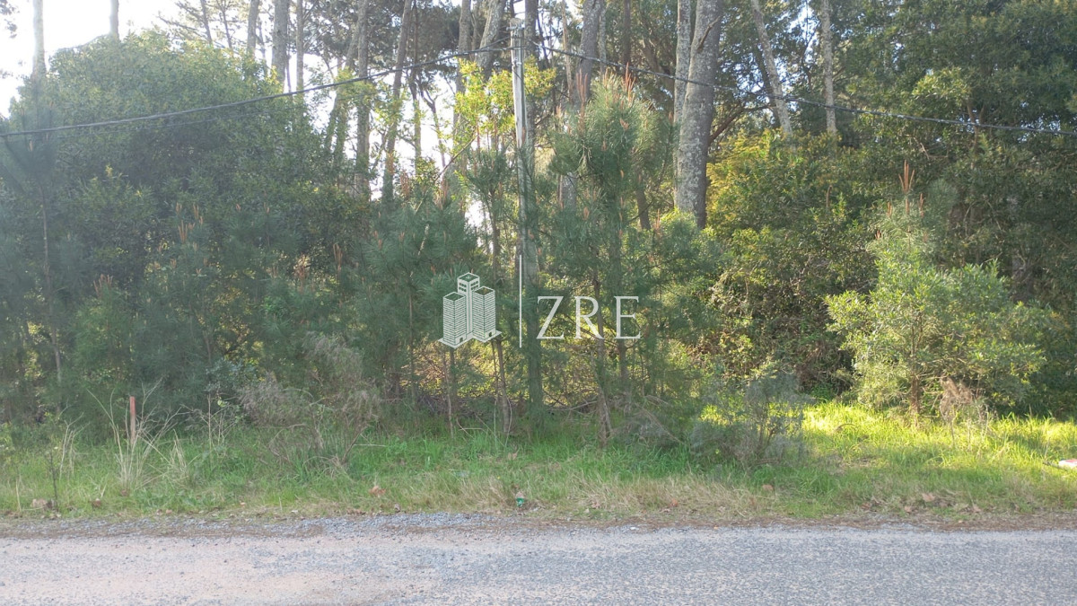Terreno ID.1481 - Terreno en Venta en Parque Burnett Apto para PH