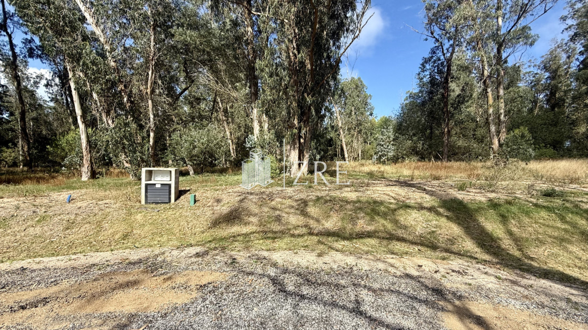Terreno ID.1200 - VENTA TERRENO MANGRULLOS EL CHORRO LA BARRA PUNTA DEL ESTE