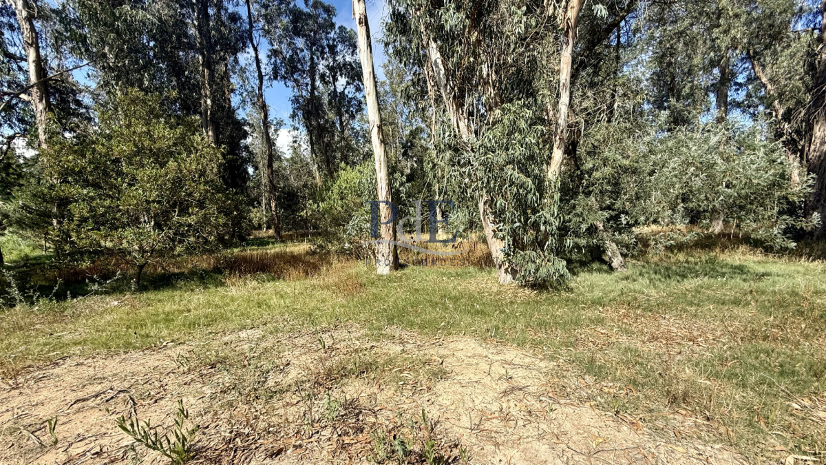 VENTA TERRENO MANGRULLOS EL CHORRO LA BARRA PUNTA DEL ESTE - Imagen 1