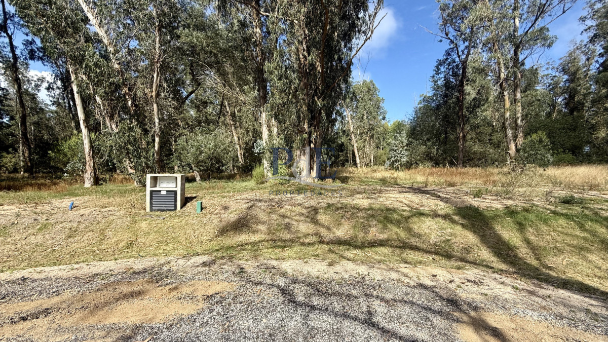 VENTA TERRENO MANGRULLOS EL CHORRO LA BARRA PUNTA DEL ESTE - Imagen 3