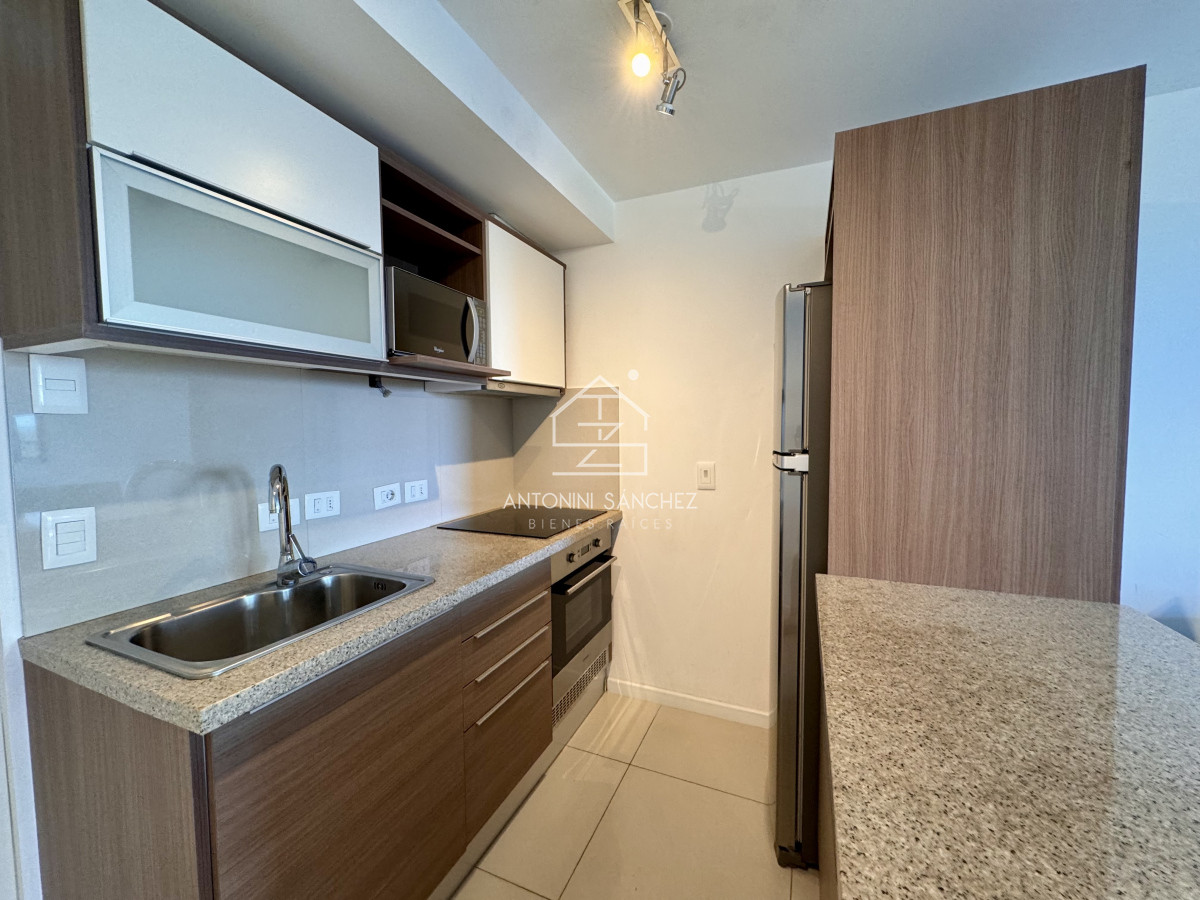 Apartamento ID.1554 - Alquiler temporal apartamento 1 dormitorio Punta del Este
