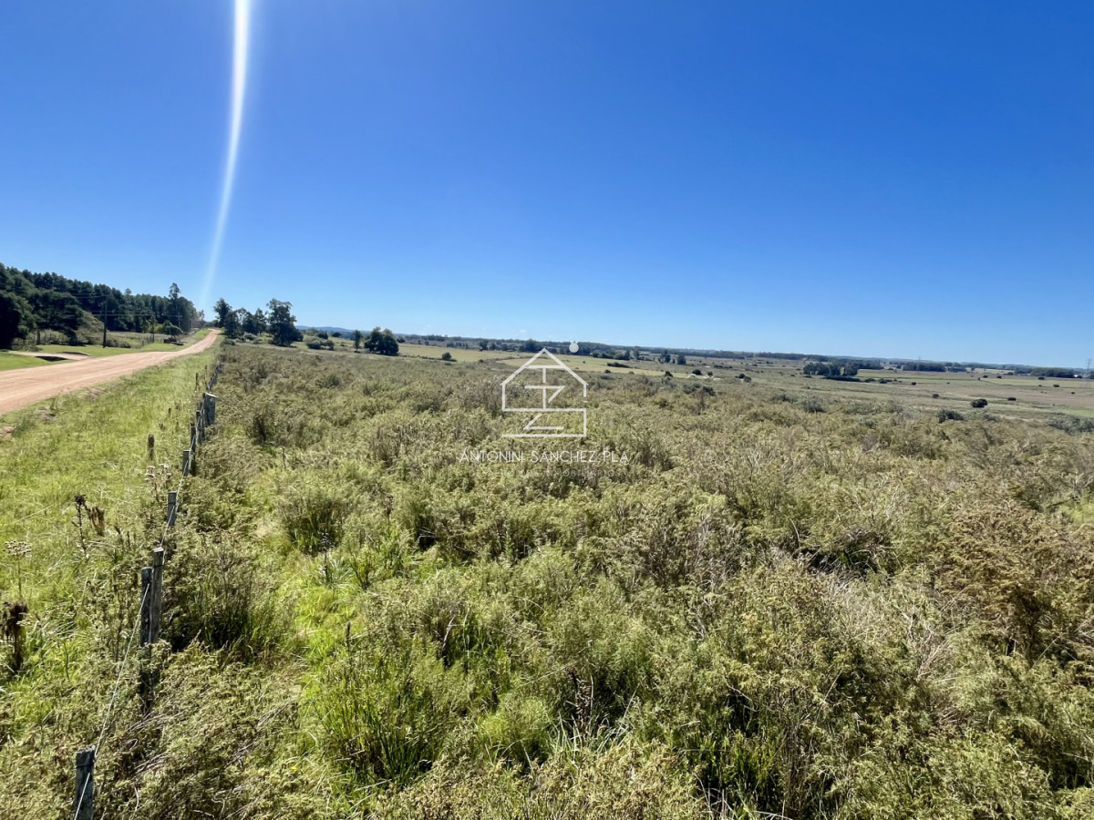 Chacra ID.4156 - VENTA CHACRA DE 10 HECTAREAS Y MEDIA