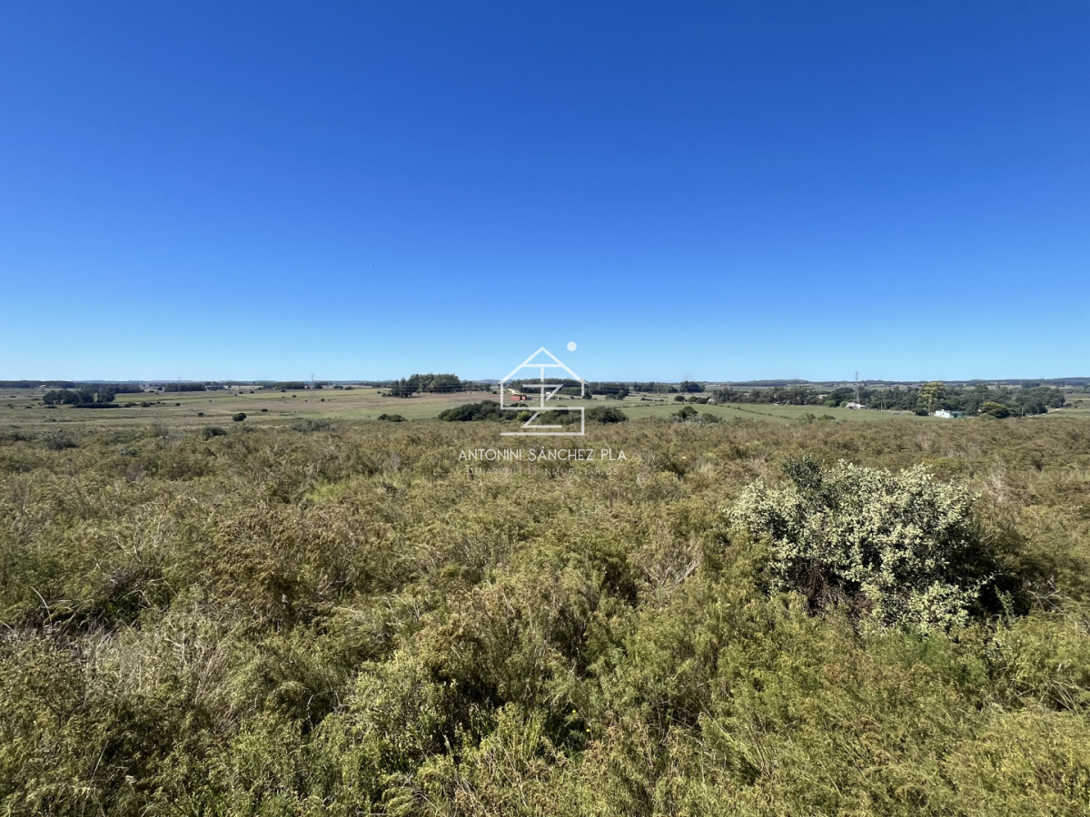 Chacra ID.4156 - VENTA CHACRA DE 10 HECTAREAS Y MEDIA