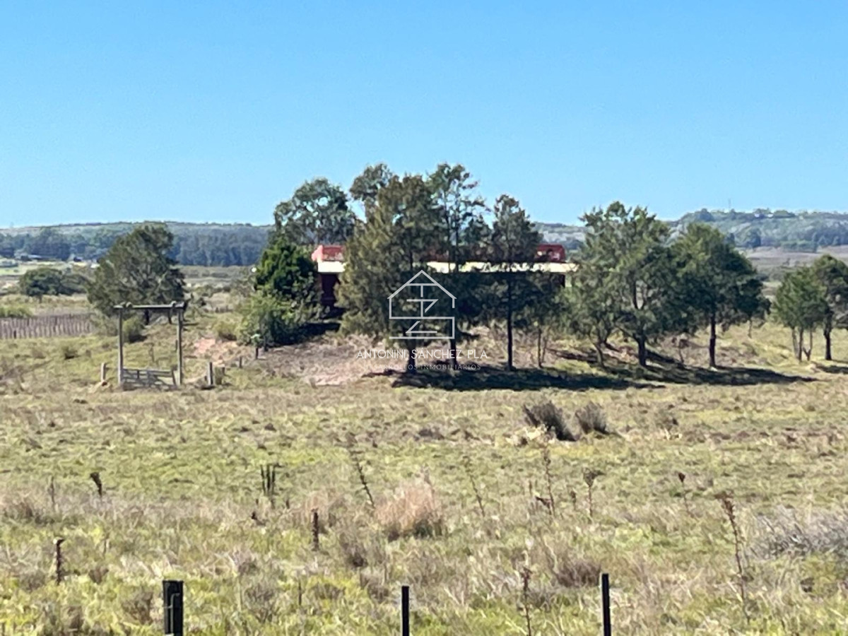 Chacra ID.4157 - VENTA CHACRA 40 HECTAREAS RUTA 39