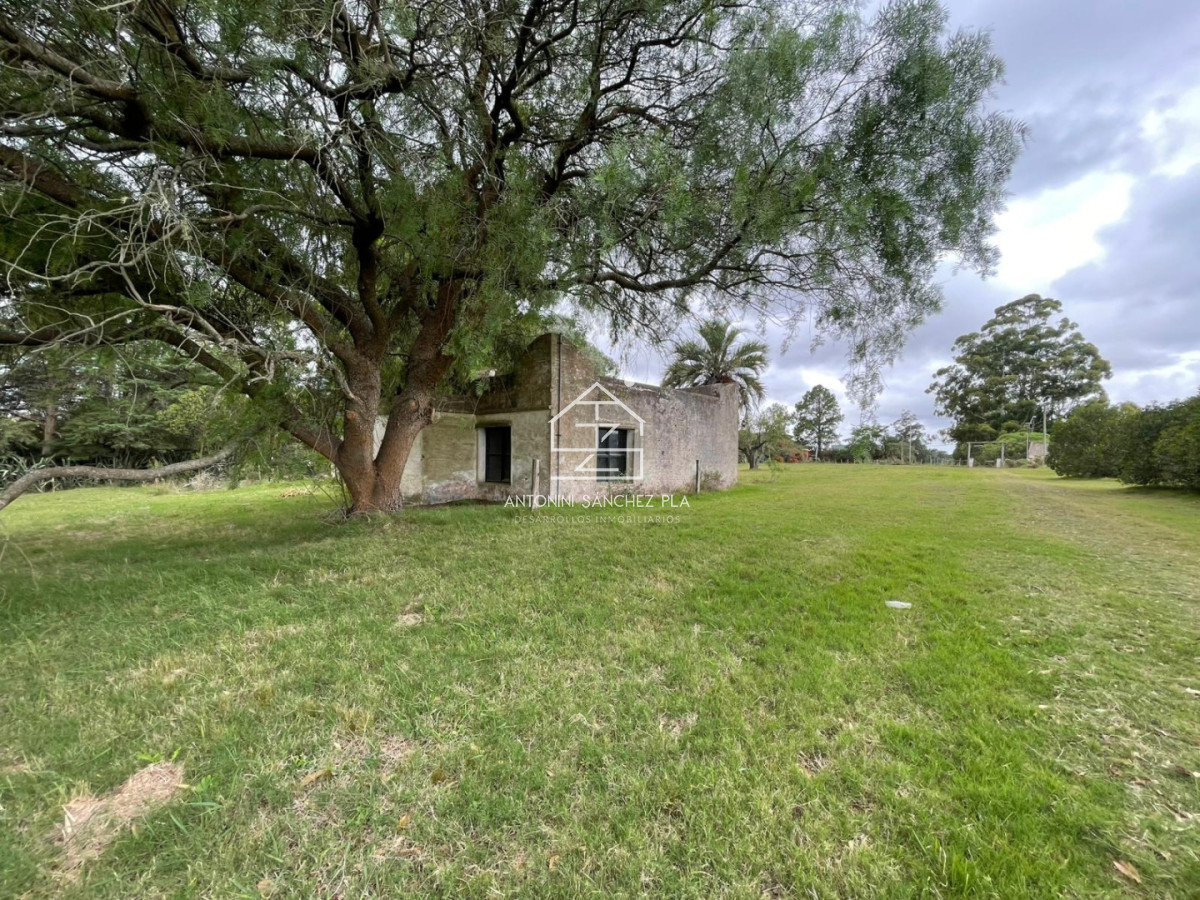 Chacra ID.4041 - VENTA CHACRA DE 7 HECTAREAS PUNTA BALLENA 