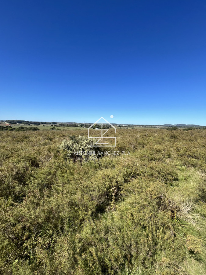 Chacra ID.4156 - VENTA CHACRA DE 10 HECTAREAS Y MEDIA