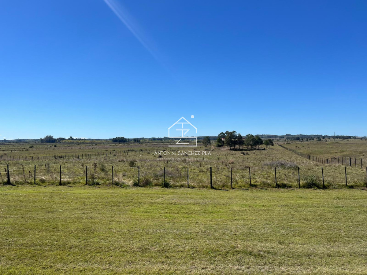 Chacra ID.4157 - VENTA CHACRA 40 HECTAREAS RUTA 39