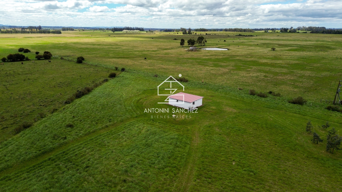 Chacra ID.5128 - Venta Chacra La Pataia 4 Hectareas Punta Ballena