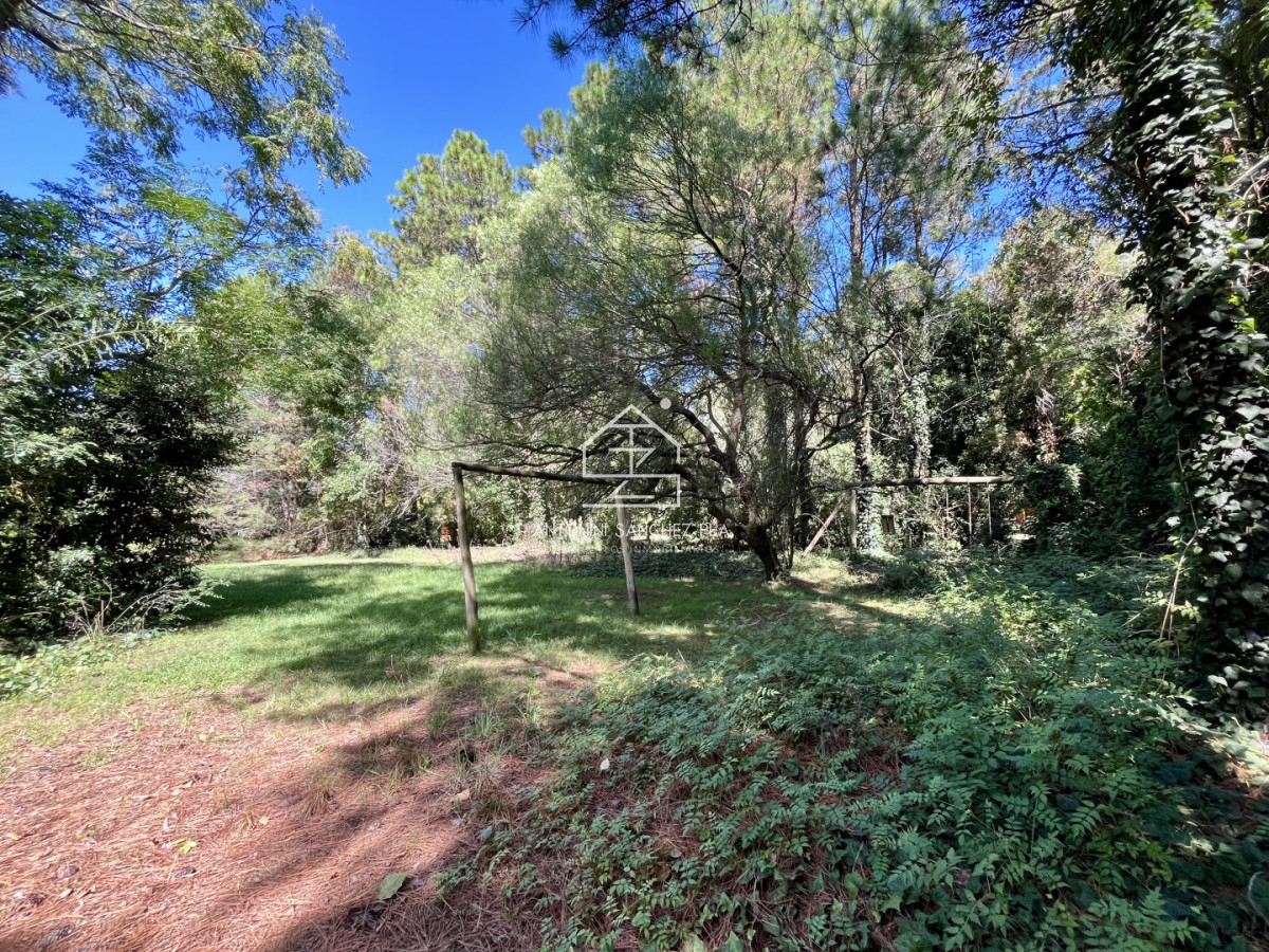 Chacra ID.4052 - VENTA CHACRA DE 3 HECTAREAS PUNTA BALLENA 