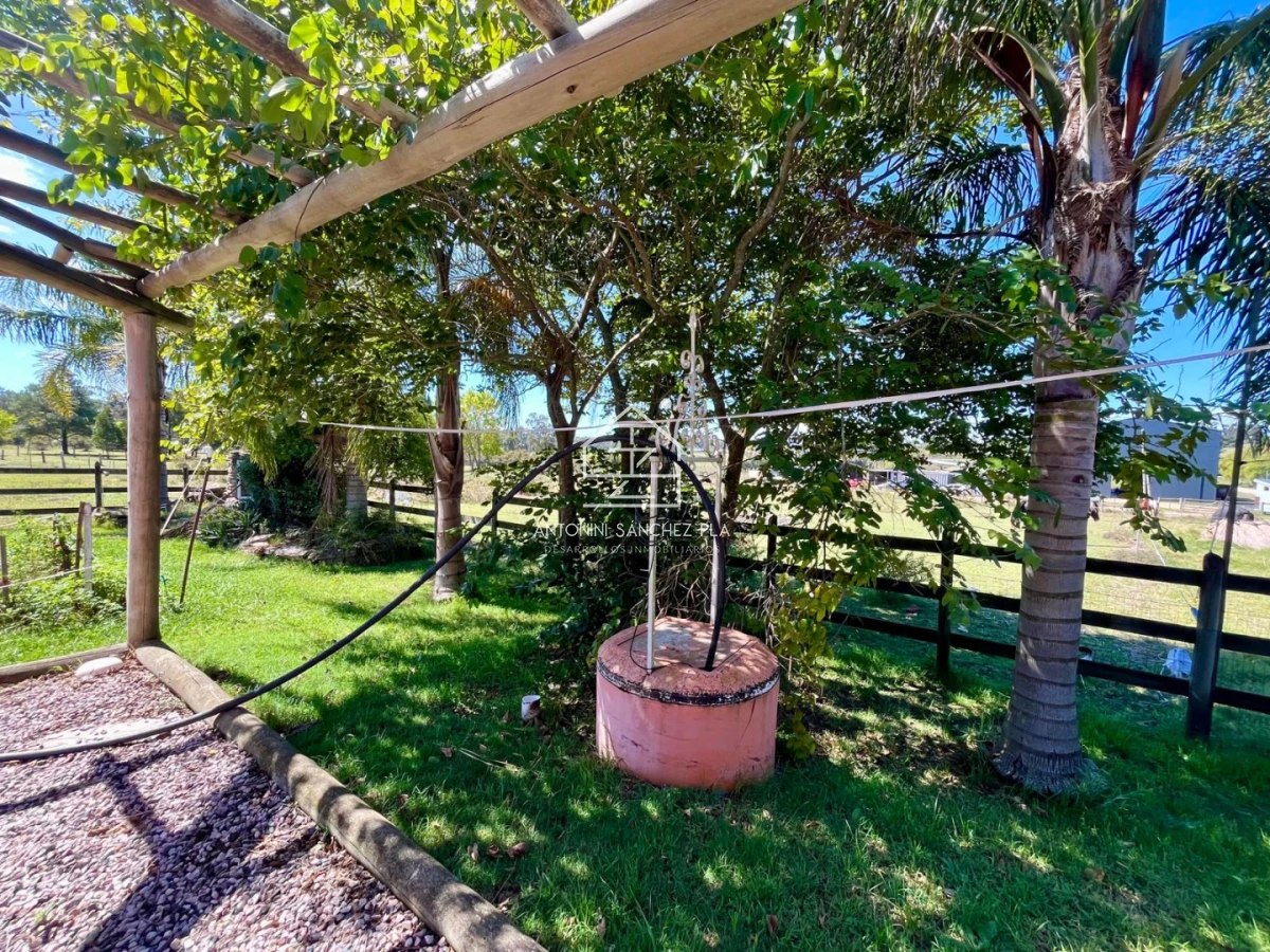 Chacra ID.3502 - CHACRA EN VENTA PUNTA BALLENA 3 HECTAREAS