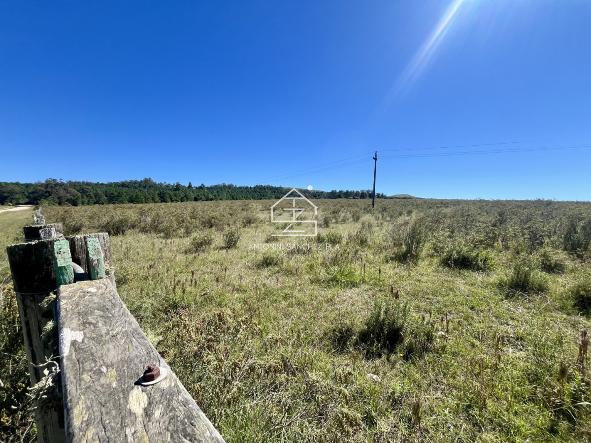 Chacra ID.4156 - VENTA CHACRA DE 10 HECTAREAS Y MEDIA