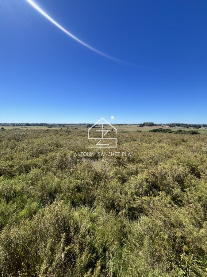 Chacra ID.4156 - VENTA CHACRA DE 10 HECTAREAS Y MEDIA