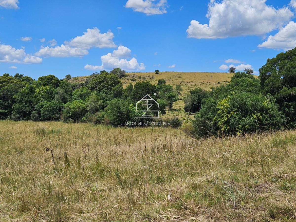 Chacra ID.4271 - CHACRA EN VENTA EN JOSE IGNACIO 5.3 HECTAREAS