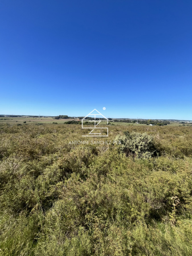 Chacra ID.4156 - VENTA CHACRA DE 10 HECTAREAS Y MEDIA