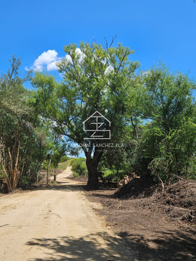 Chacra ID.4271 - CHACRA EN VENTA EN JOSE IGNACIO 5.3 HECTAREAS