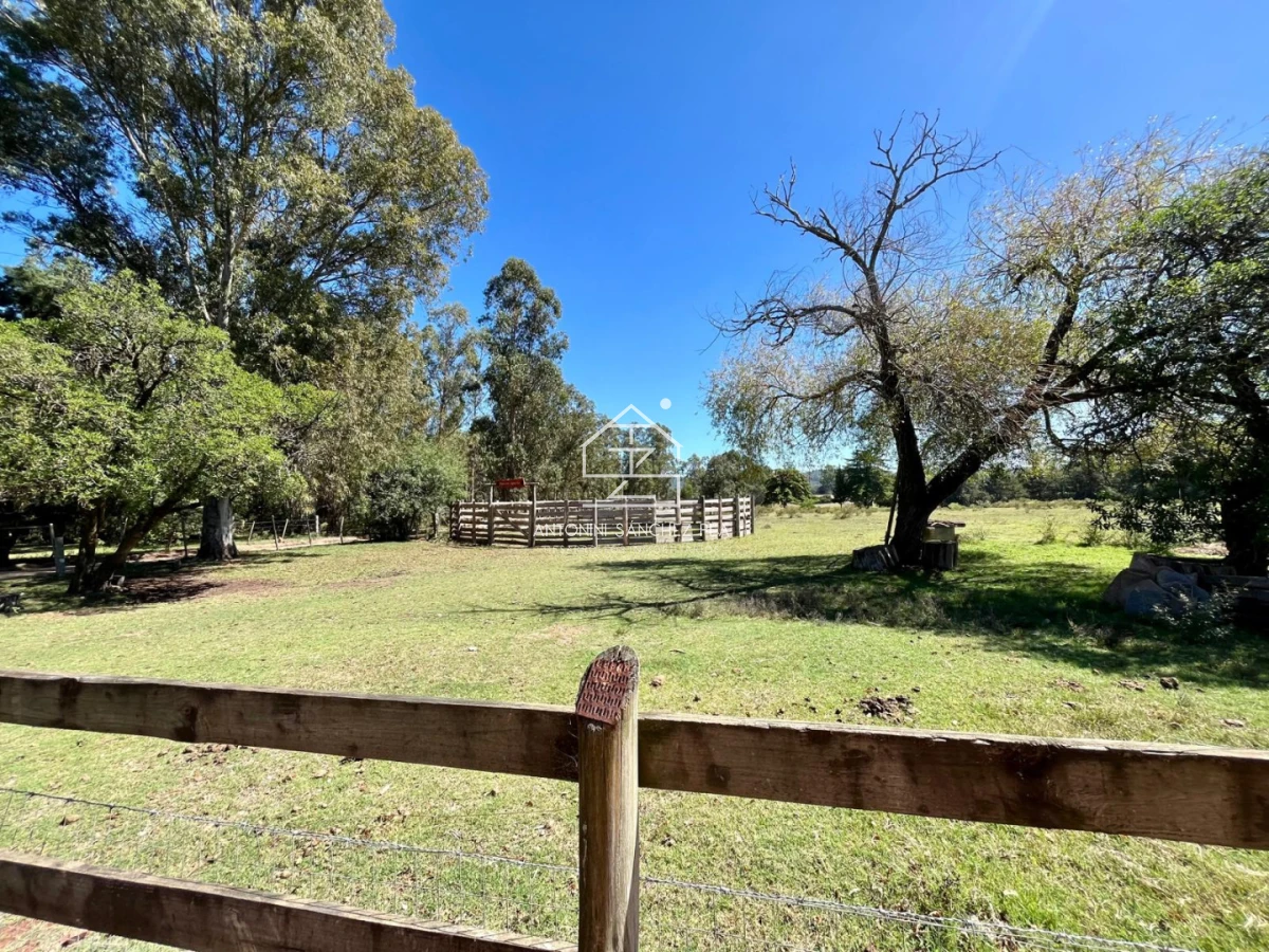 Chacra ID.3502 - CHACRA EN VENTA PUNTA BALLENA 3 HECTAREAS