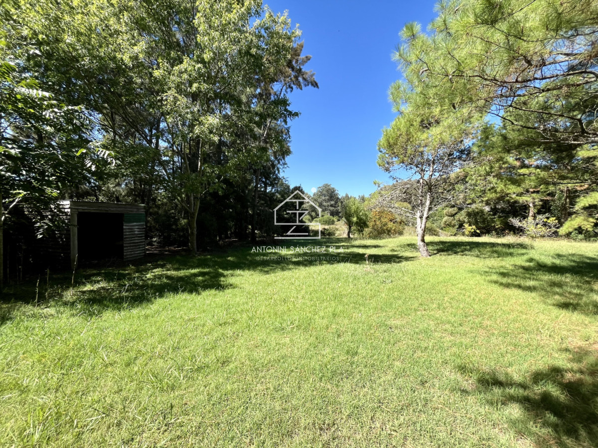 Chacra ID.4052 - VENTA CHACRA DE 3 HECTAREAS PUNTA BALLENA 