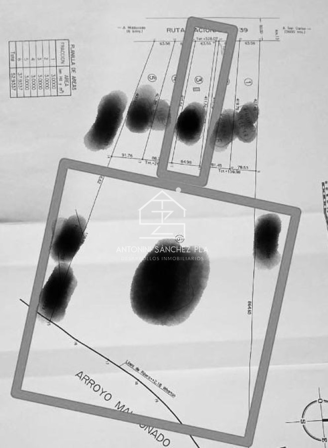 Chacra ID.4157 - VENTA CHACRA 40 HECTAREAS RUTA 39