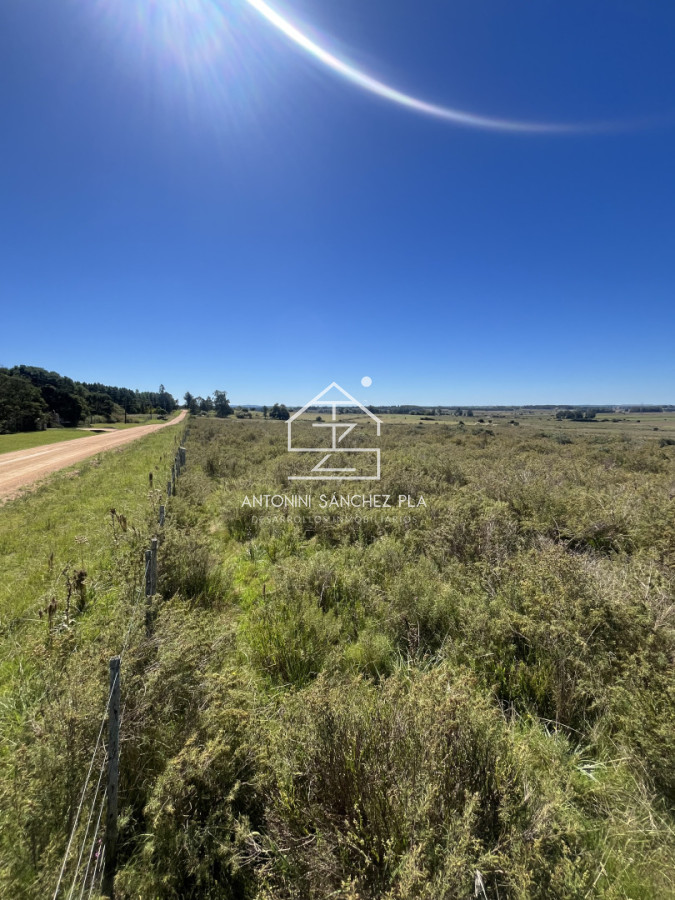 Chacra ID.4156 - VENTA CHACRA DE 10 HECTAREAS Y MEDIA