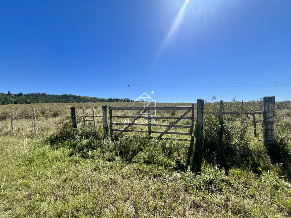 Chacra ID.4156 - VENTA CHACRA DE 10 HECTAREAS Y MEDIA