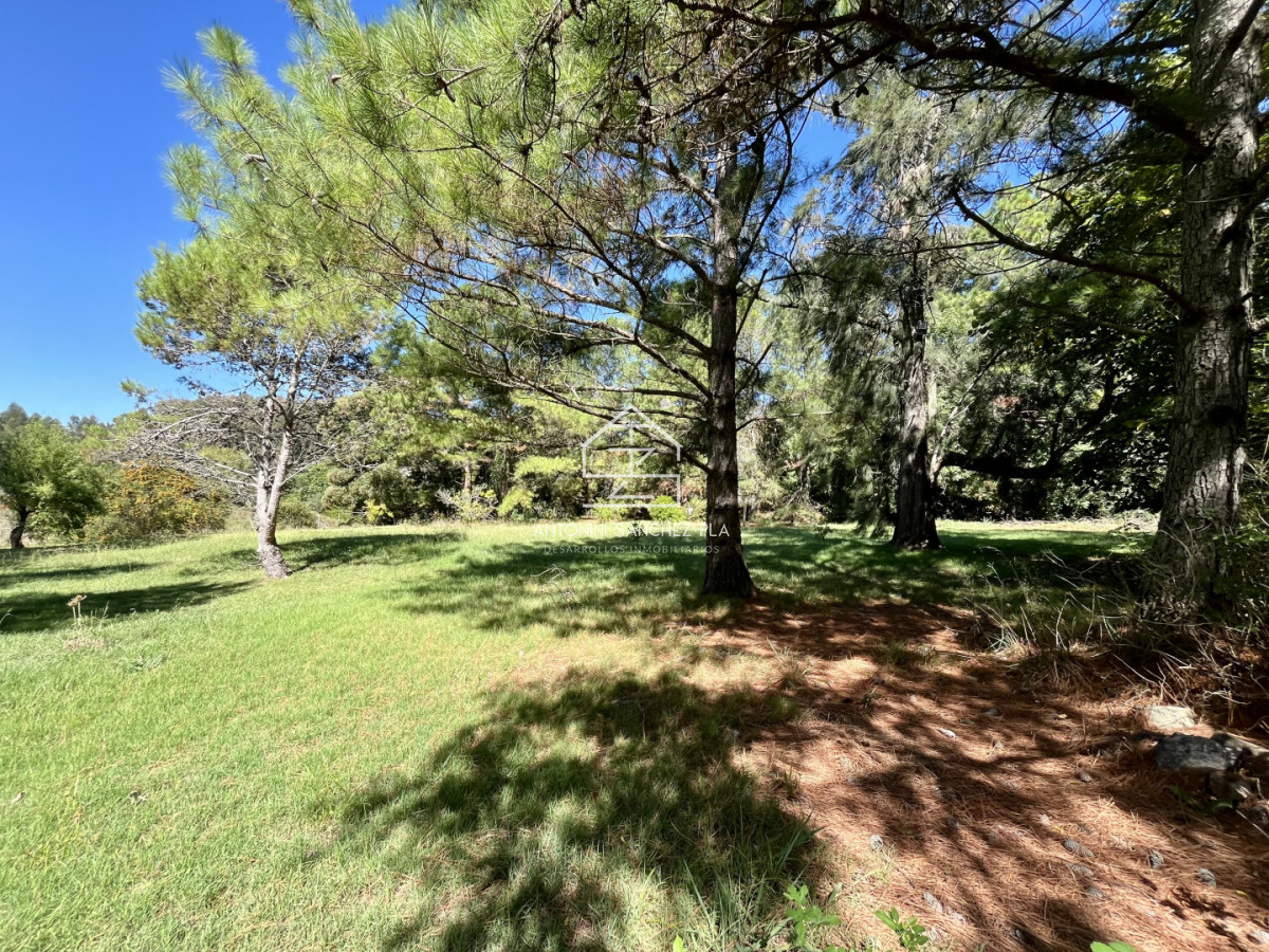 Chacra ID.4052 - VENTA CHACRA DE 3 HECTAREAS PUNTA BALLENA 