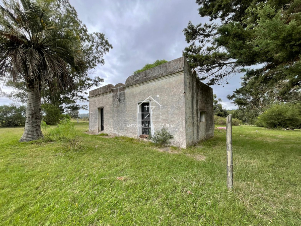 Chacra ID.4041 - VENTA CHACRA DE 7 HECTAREAS PUNTA BALLENA 