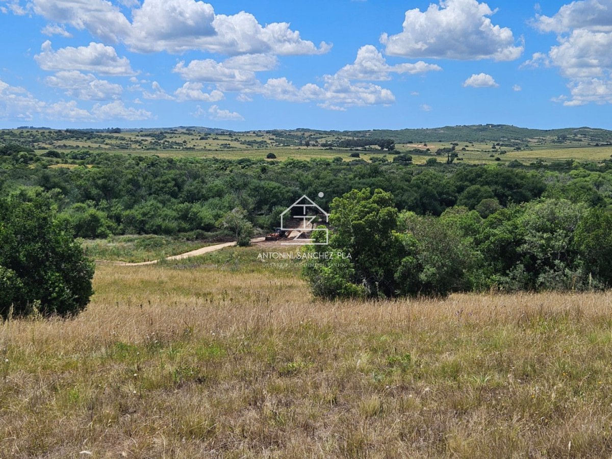 Chacra ID.4271 - CHACRA EN VENTA EN JOSE IGNACIO 5.3 HECTAREAS