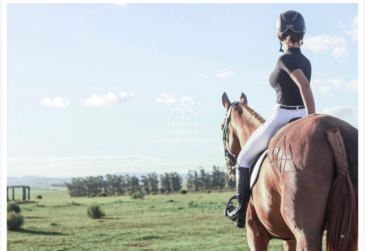 Chacra ID.3028 - VENTA 5 CHACRAS PUNTA DEL ESTE-ECUESTRES