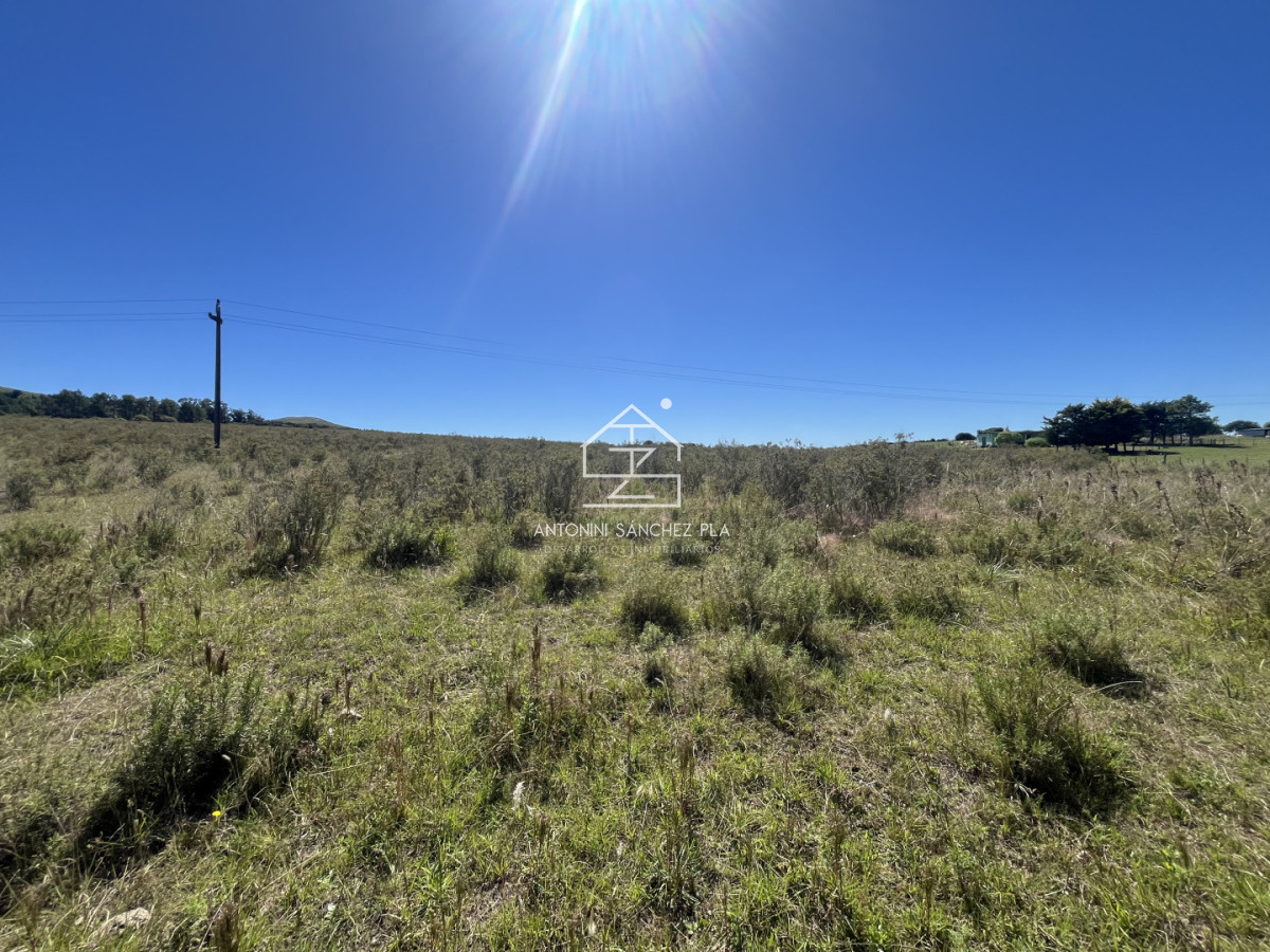 Chacra ID.4156 - VENTA CHACRA DE 10 HECTAREAS Y MEDIA