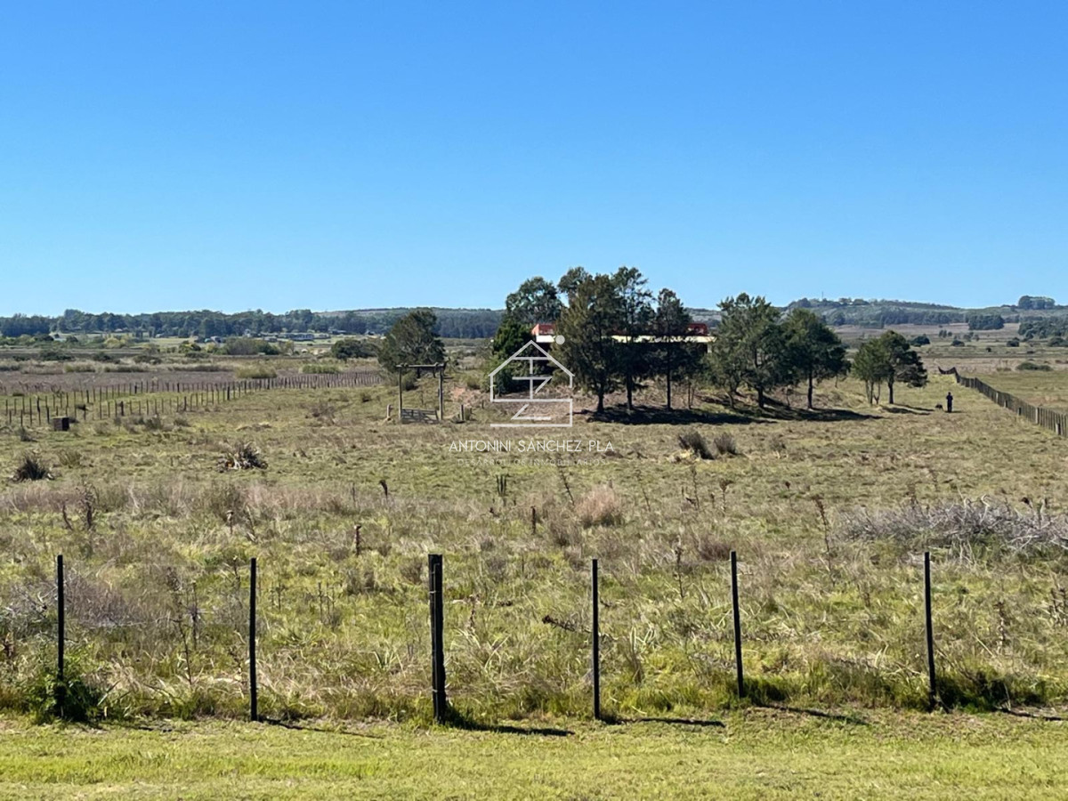 Chacra ID.4157 - VENTA CHACRA 40 HECTAREAS RUTA 39