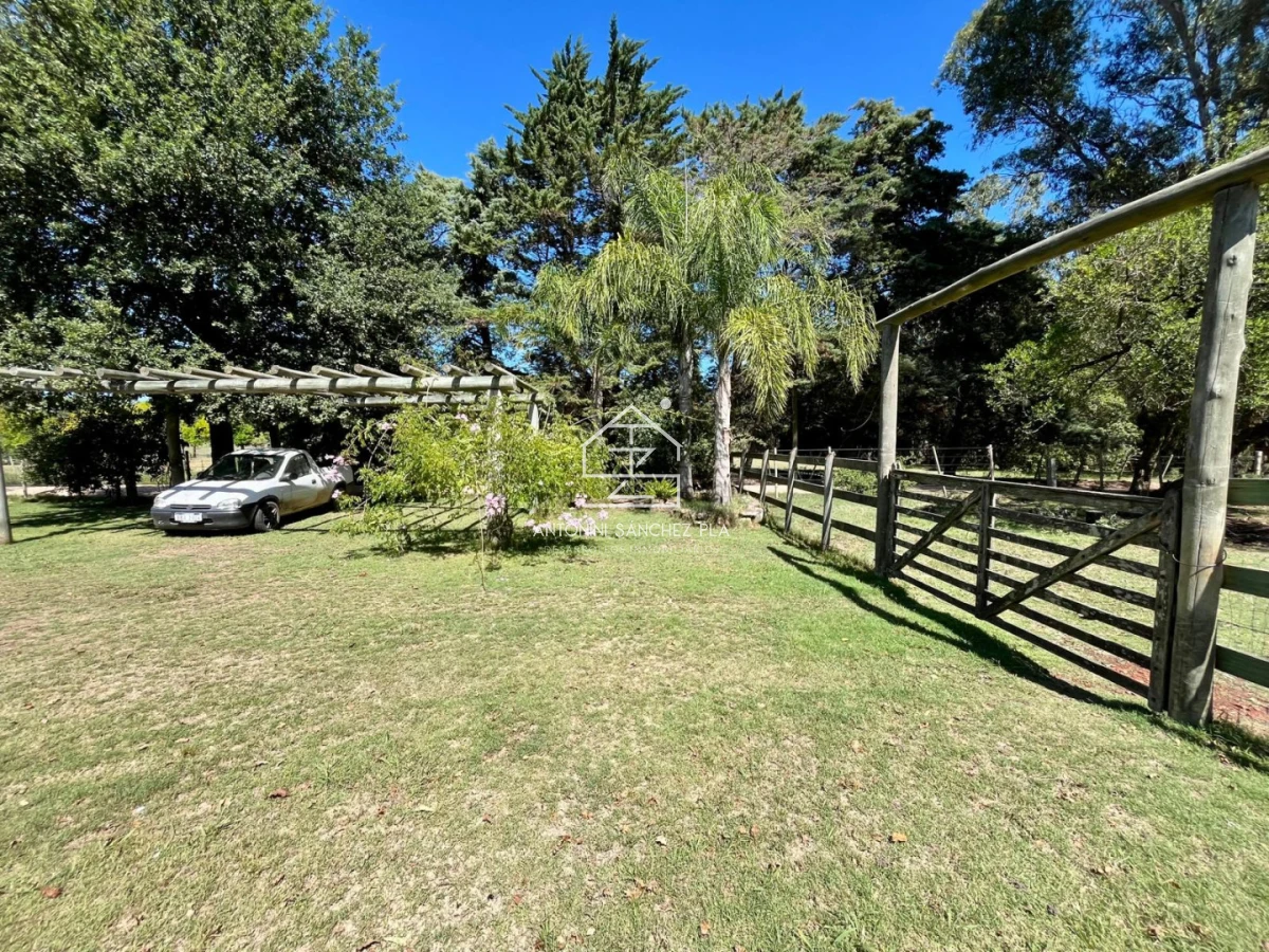 Chacra ID.3502 - CHACRA EN VENTA PUNTA BALLENA 3 HECTAREAS