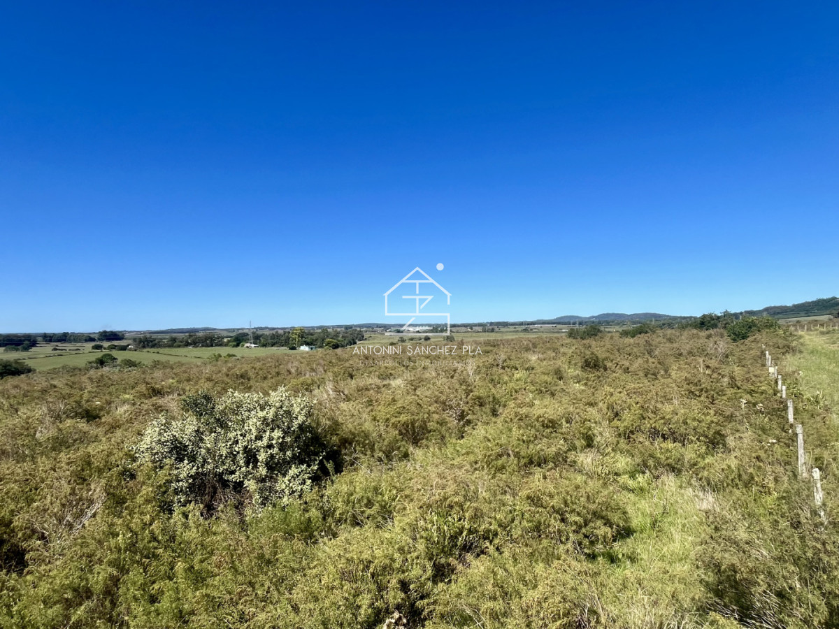 Chacra ID.4156 - VENTA CHACRA DE 10 HECTAREAS Y MEDIA