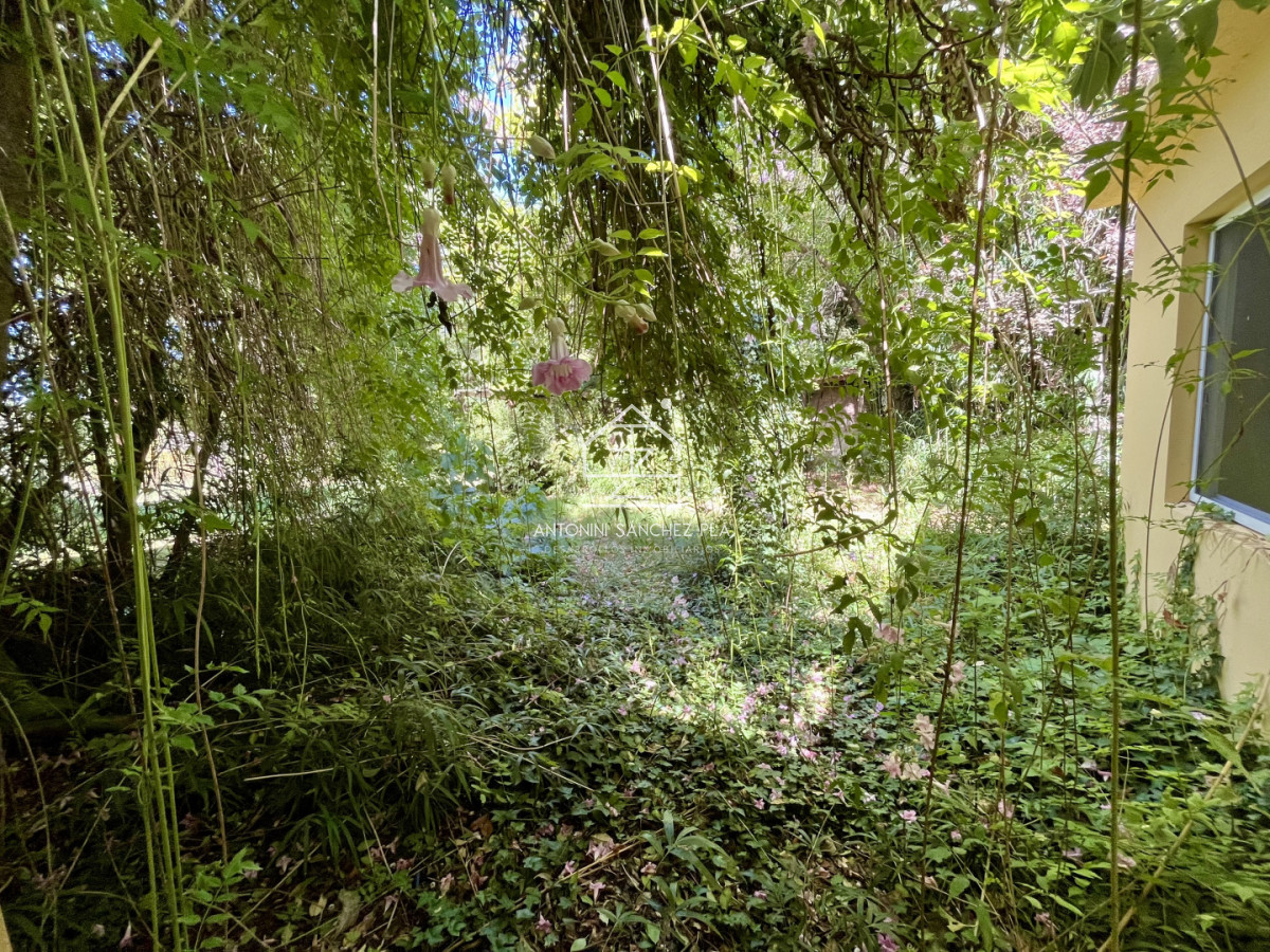 Chacra ID.4052 - VENTA CHACRA DE 3 HECTAREAS PUNTA BALLENA 