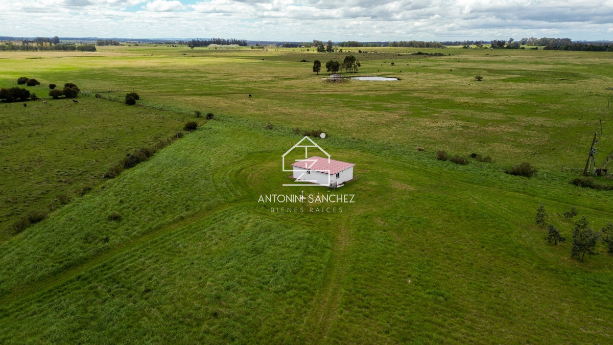 Chacra ID.5128 - Venta Chacra La Pataia 4 Hectareas Punta Ballena